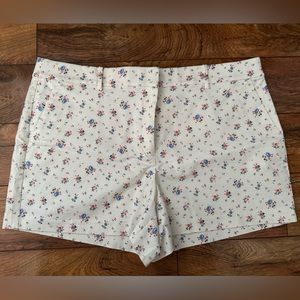LOFT Riviera Shorts NWT
